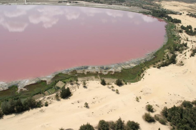 pink lake africa