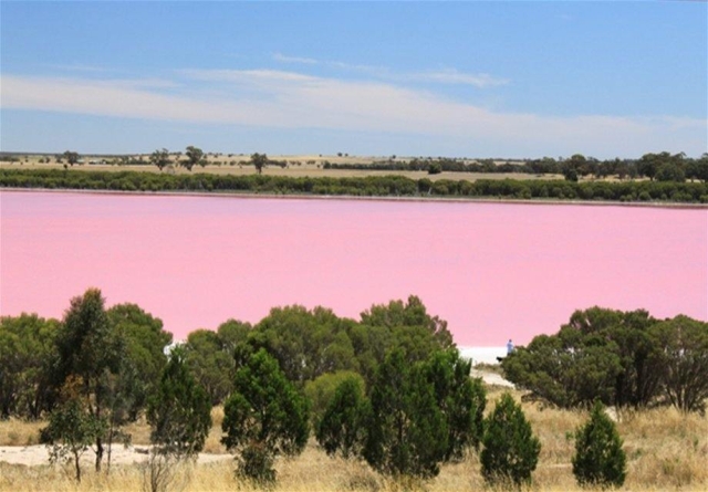 lake retba fish